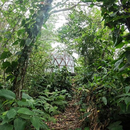 Taorayina Nature Lodge- Immersed In The Forest الزينو المظهر الخارجي الصورة
