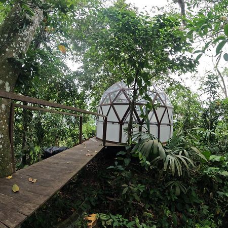 Taorayina Nature Lodge- Immersed In The Forest الزينو المظهر الخارجي الصورة