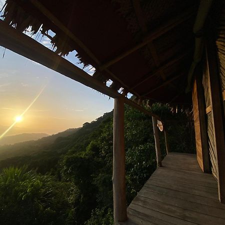 Taorayina Nature Lodge- Immersed In The Forest الزينو المظهر الخارجي الصورة