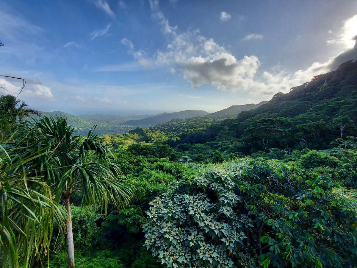 Taorayina Nature Lodge- Immersed In The Forest الزينو المظهر الخارجي الصورة