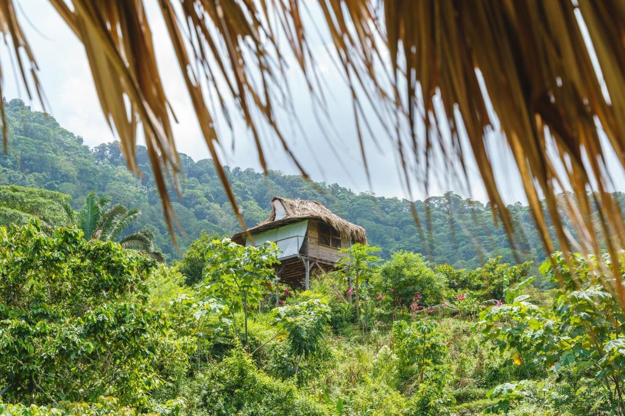 Taorayina Nature Lodge- Immersed In The Forest الزينو المظهر الخارجي الصورة