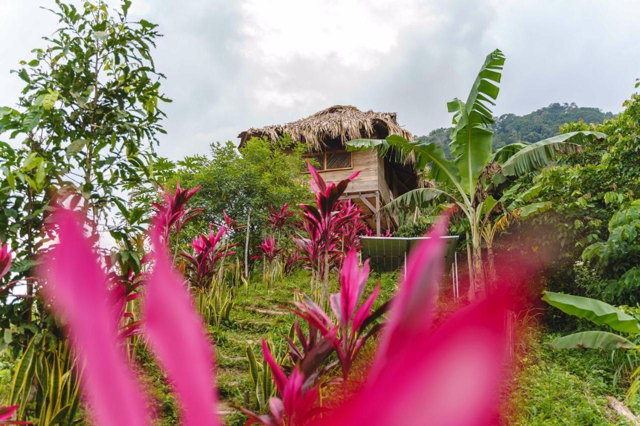 Taorayina Nature Lodge- Immersed In The Forest الزينو المظهر الخارجي الصورة