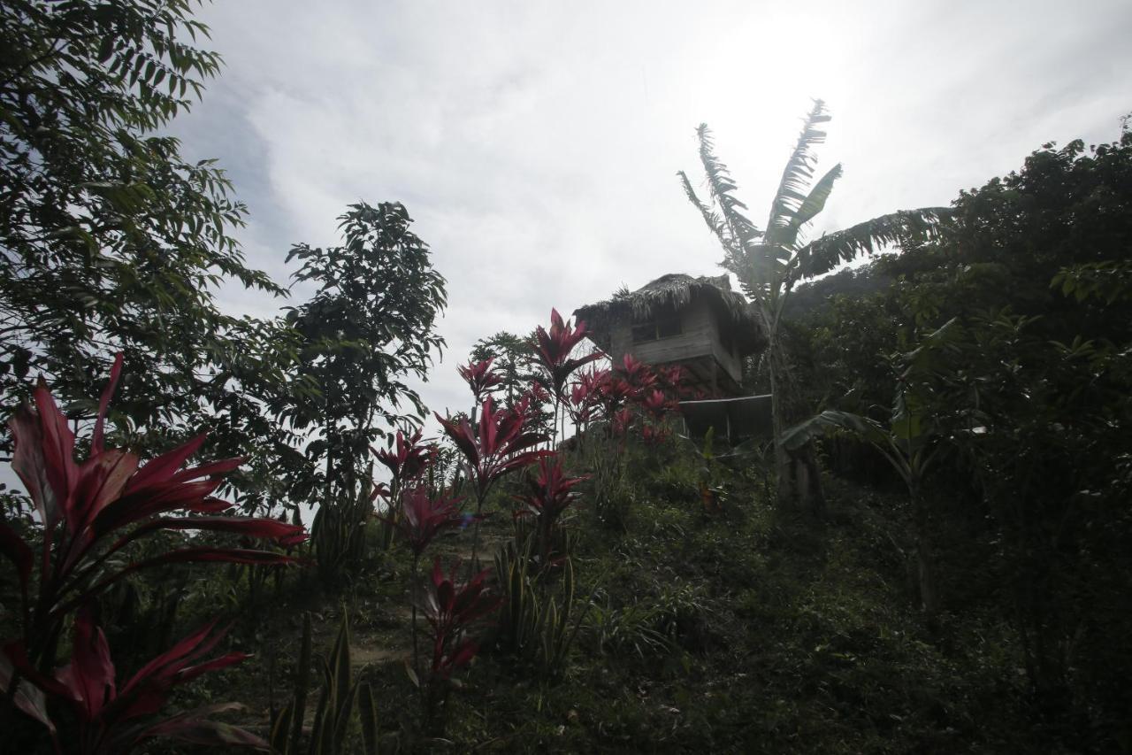 Taorayina Nature Lodge- Immersed In The Forest الزينو المظهر الخارجي الصورة