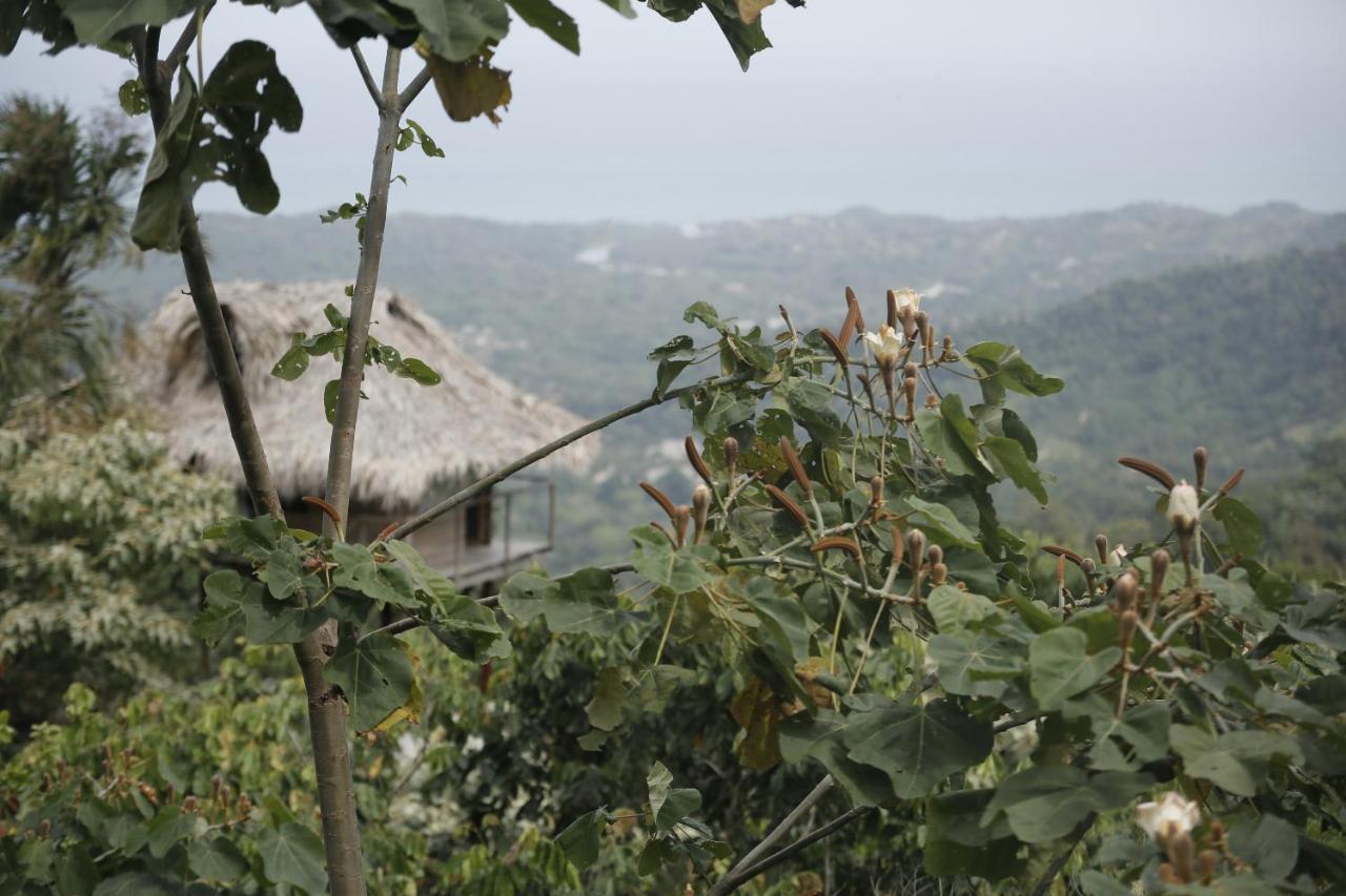 Taorayina Nature Lodge- Immersed In The Forest الزينو المظهر الخارجي الصورة