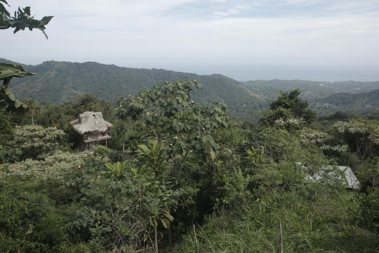 Taorayina Nature Lodge- Immersed In The Forest الزينو المظهر الخارجي الصورة