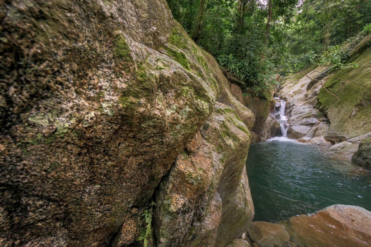 Taorayina Nature Lodge- Immersed In The Forest الزينو المظهر الخارجي الصورة