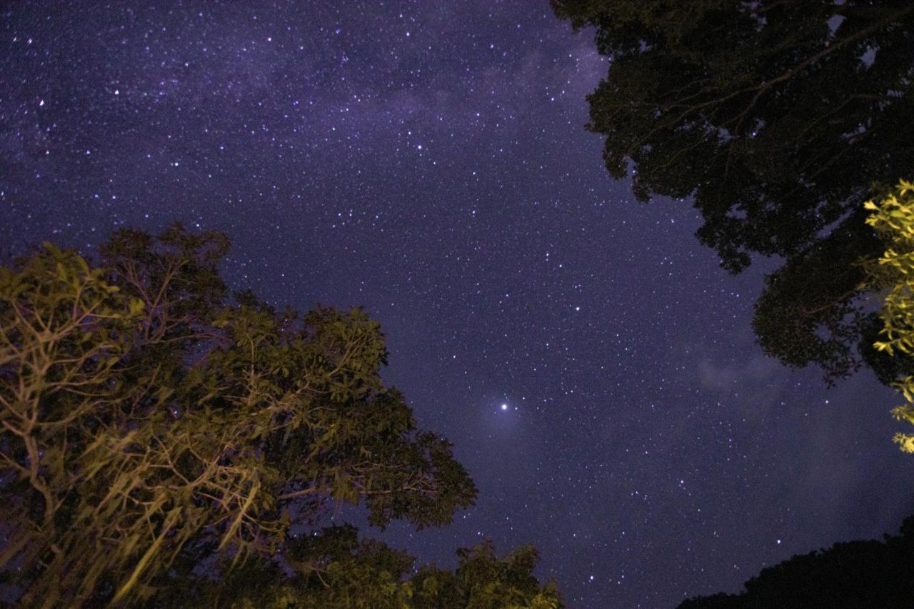 Taorayina Nature Lodge- Immersed In The Forest الزينو المظهر الخارجي الصورة