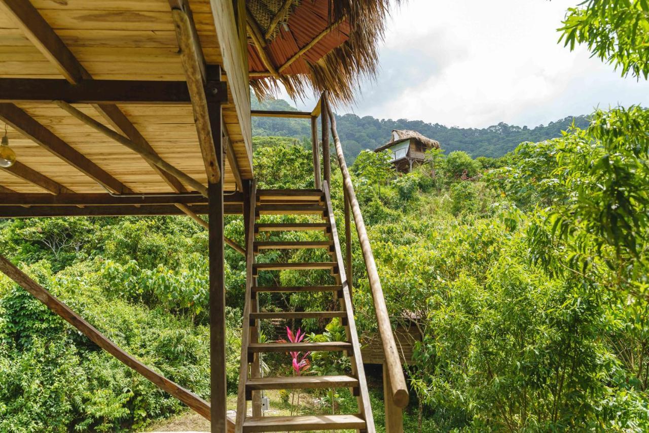 Taorayina Nature Lodge- Immersed In The Forest الزينو المظهر الخارجي الصورة