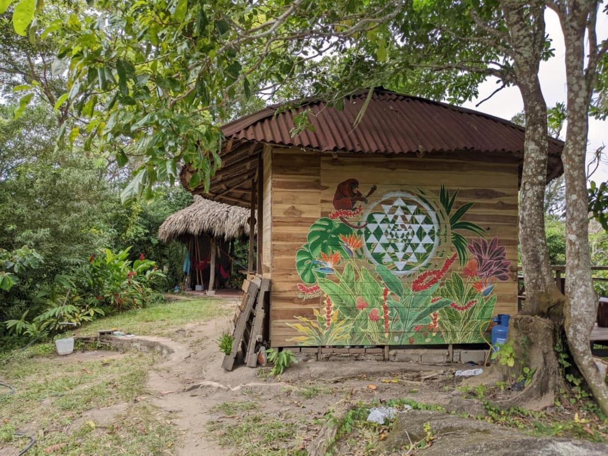 Taorayina Nature Lodge- Immersed In The Forest الزينو المظهر الخارجي الصورة