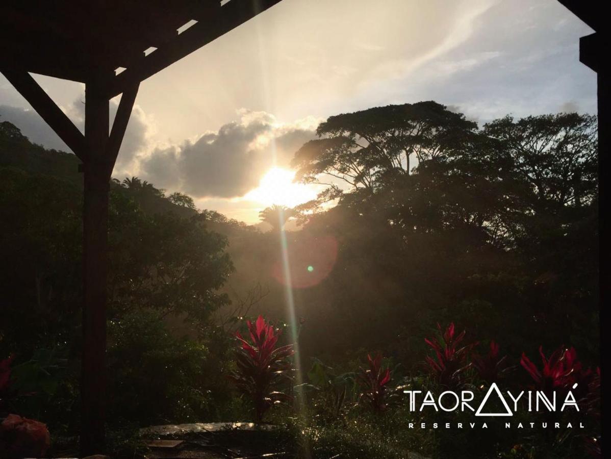 Taorayina Nature Lodge- Immersed In The Forest الزينو المظهر الخارجي الصورة