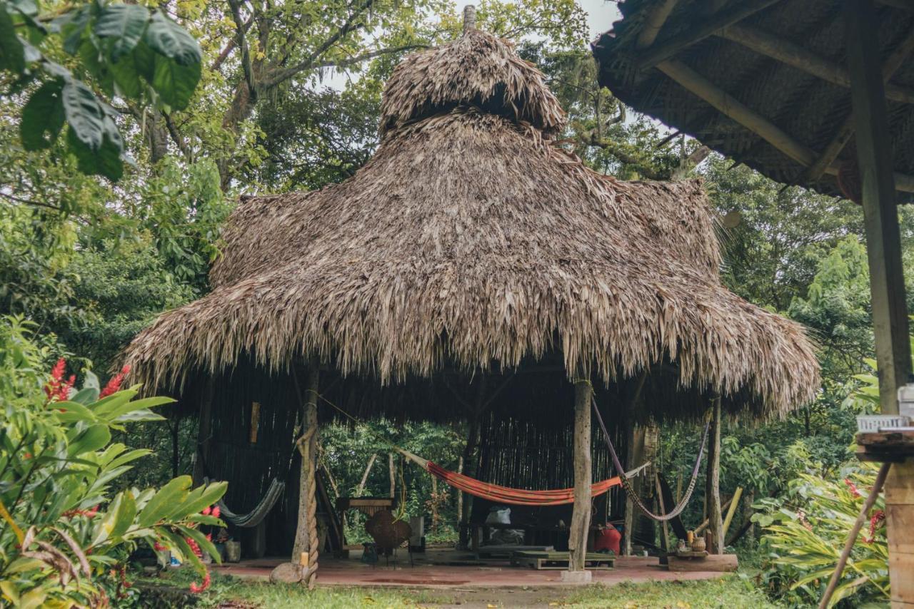 Taorayina Nature Lodge- Immersed In The Forest الزينو المظهر الخارجي الصورة
