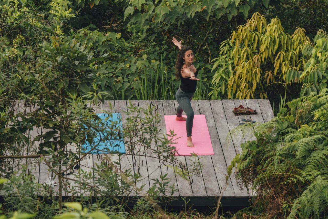 Taorayina Nature Lodge- Immersed In The Forest الزينو المظهر الخارجي الصورة
