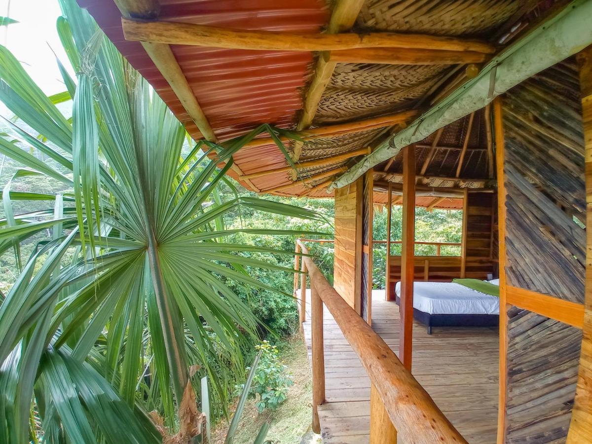 Taorayina Nature Lodge- Immersed In The Forest الزينو المظهر الخارجي الصورة