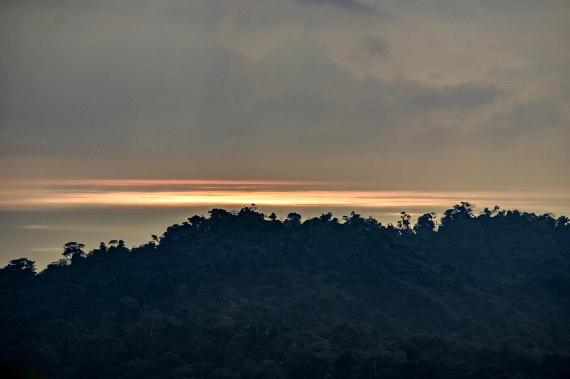 Taorayina Nature Lodge- Immersed In The Forest الزينو المظهر الخارجي الصورة
