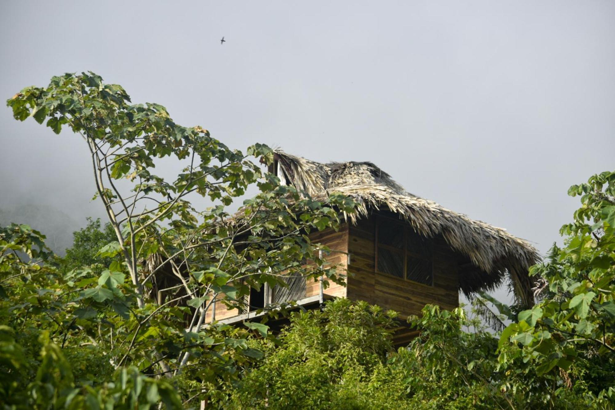 Taorayina Nature Lodge- Immersed In The Forest الزينو المظهر الخارجي الصورة
