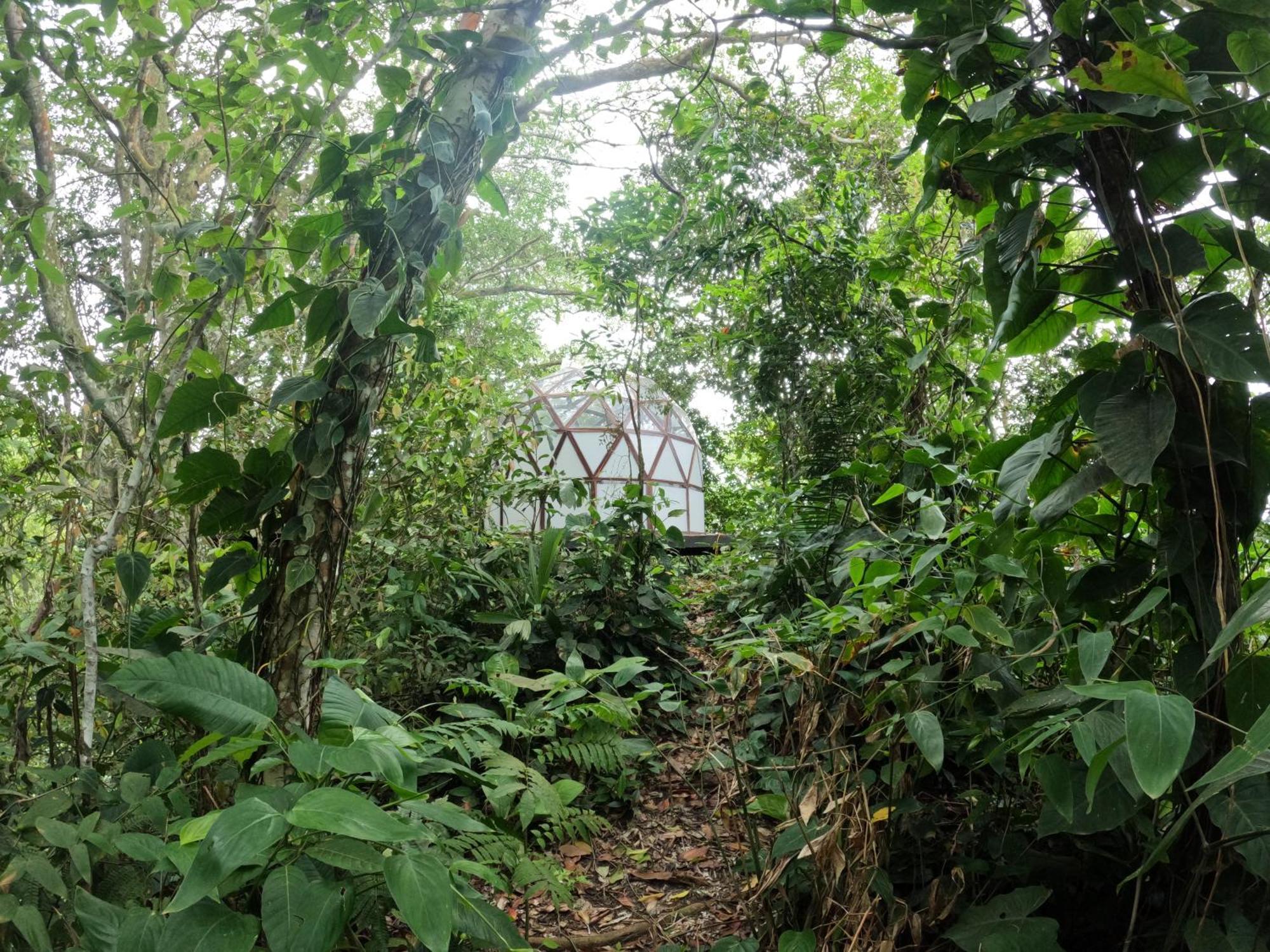 Taorayina Nature Lodge- Immersed In The Forest الزينو المظهر الخارجي الصورة