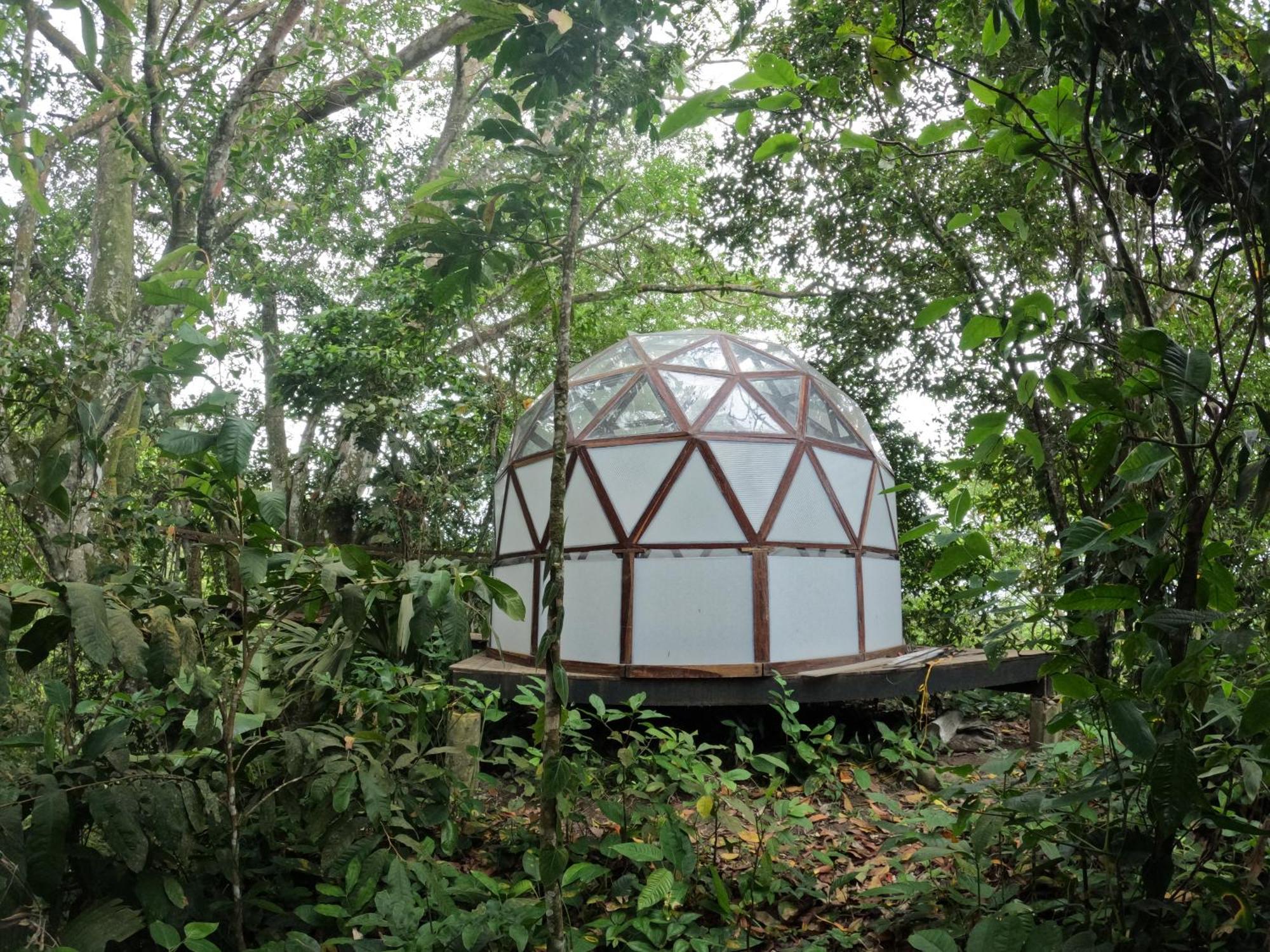 Taorayina Nature Lodge- Immersed In The Forest الزينو المظهر الخارجي الصورة