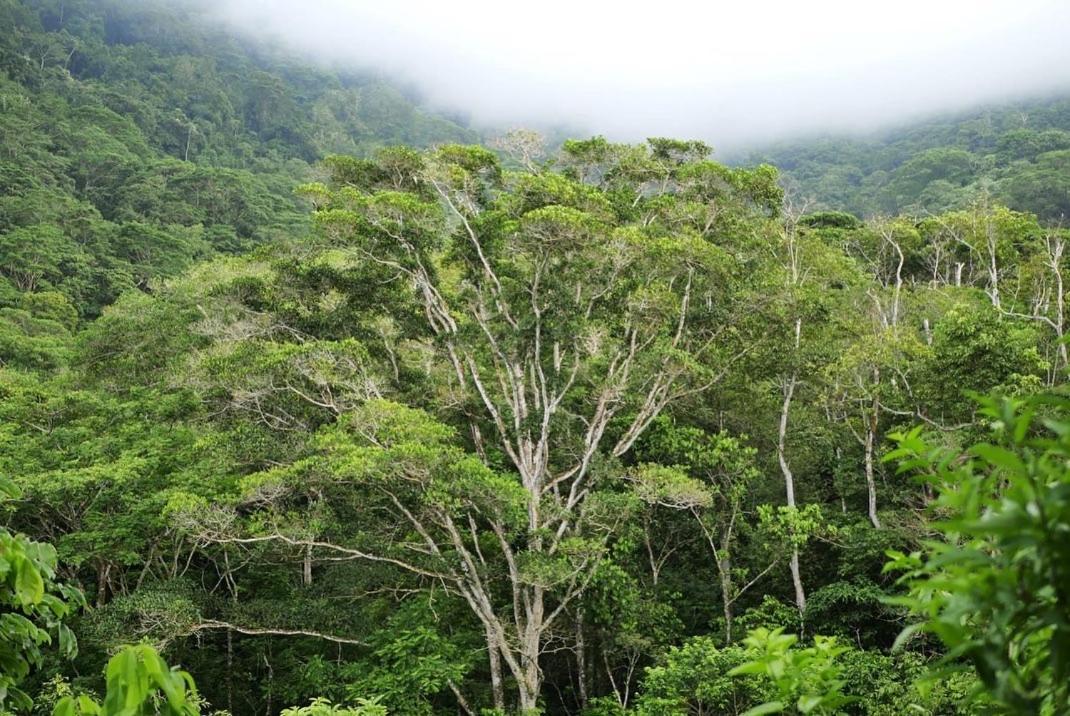 Taorayina Nature Lodge- Immersed In The Forest الزينو المظهر الخارجي الصورة