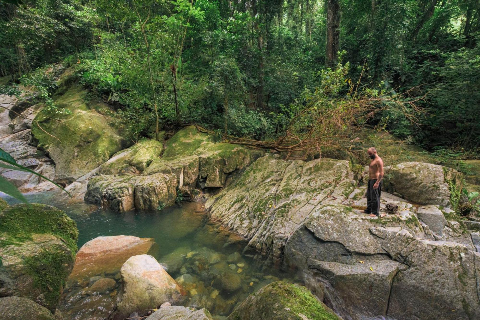 Taorayina Nature Lodge- Immersed In The Forest الزينو المظهر الخارجي الصورة