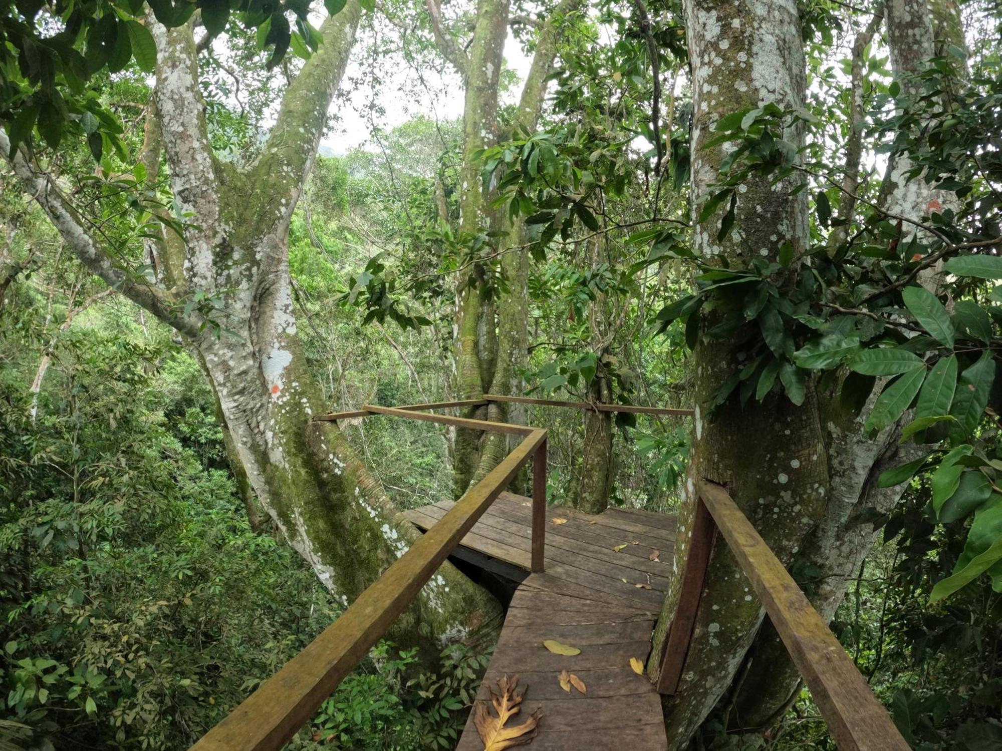 Taorayina Nature Lodge- Immersed In The Forest الزينو المظهر الخارجي الصورة