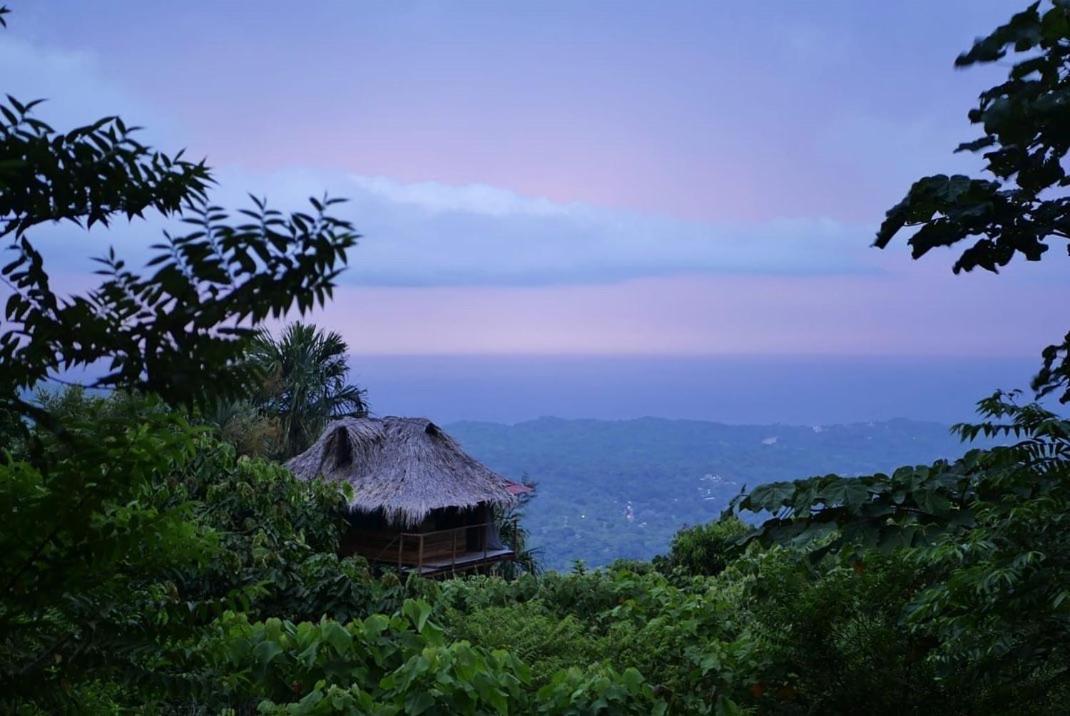 Taorayina Nature Lodge- Immersed In The Forest الزينو المظهر الخارجي الصورة
