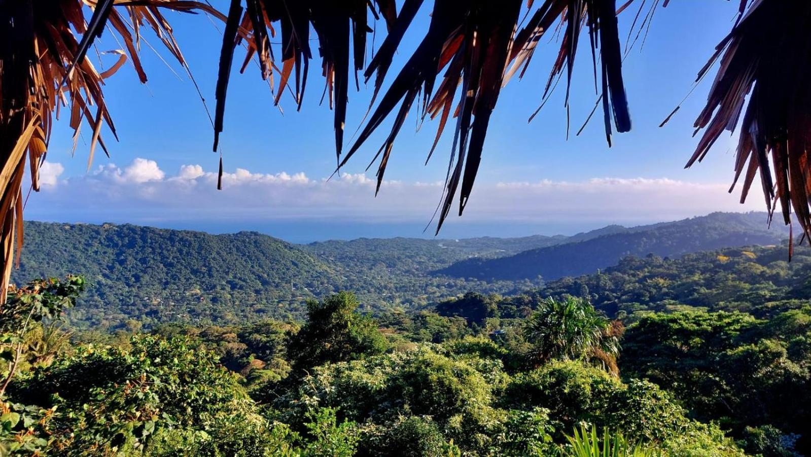 Taorayina Nature Lodge- Immersed In The Forest الزينو المظهر الخارجي الصورة